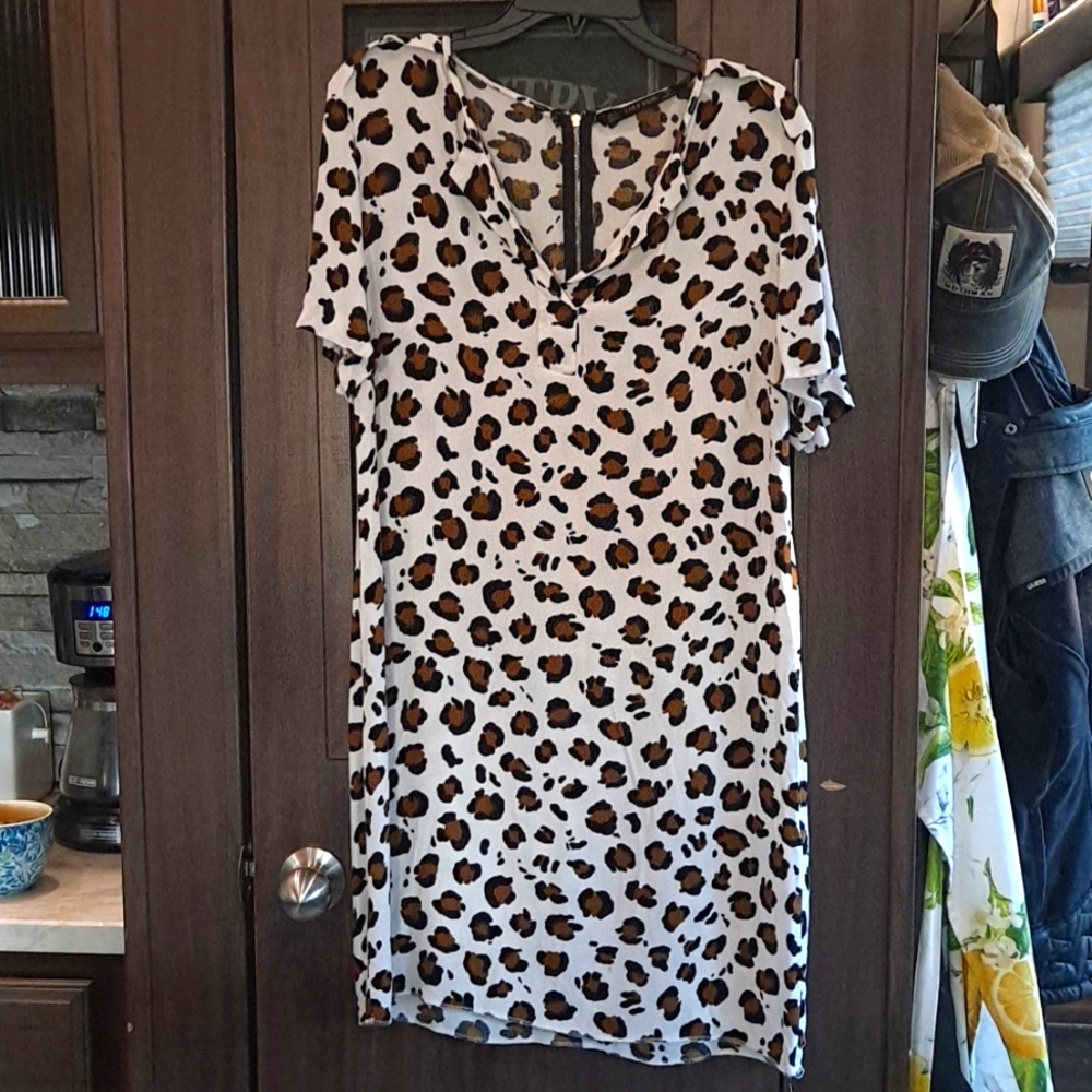 Zara Leopard Print Dress